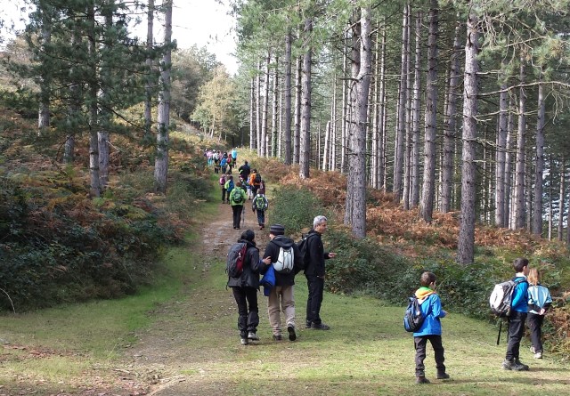 2014-11-16_legazpi-mendi-irteera-oa_120917