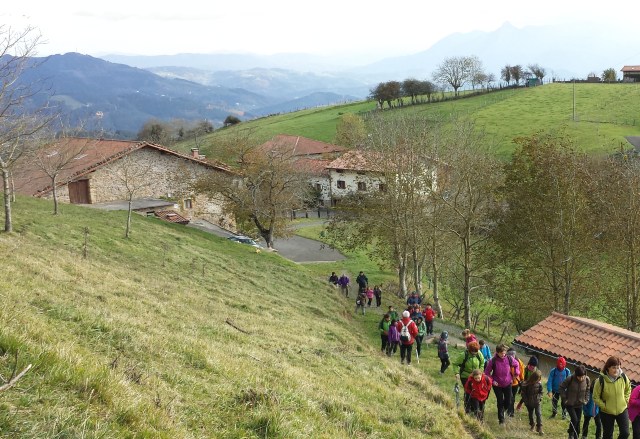 2014-11-16_legazpi-mendi-irteera_OA_11-32-46-r